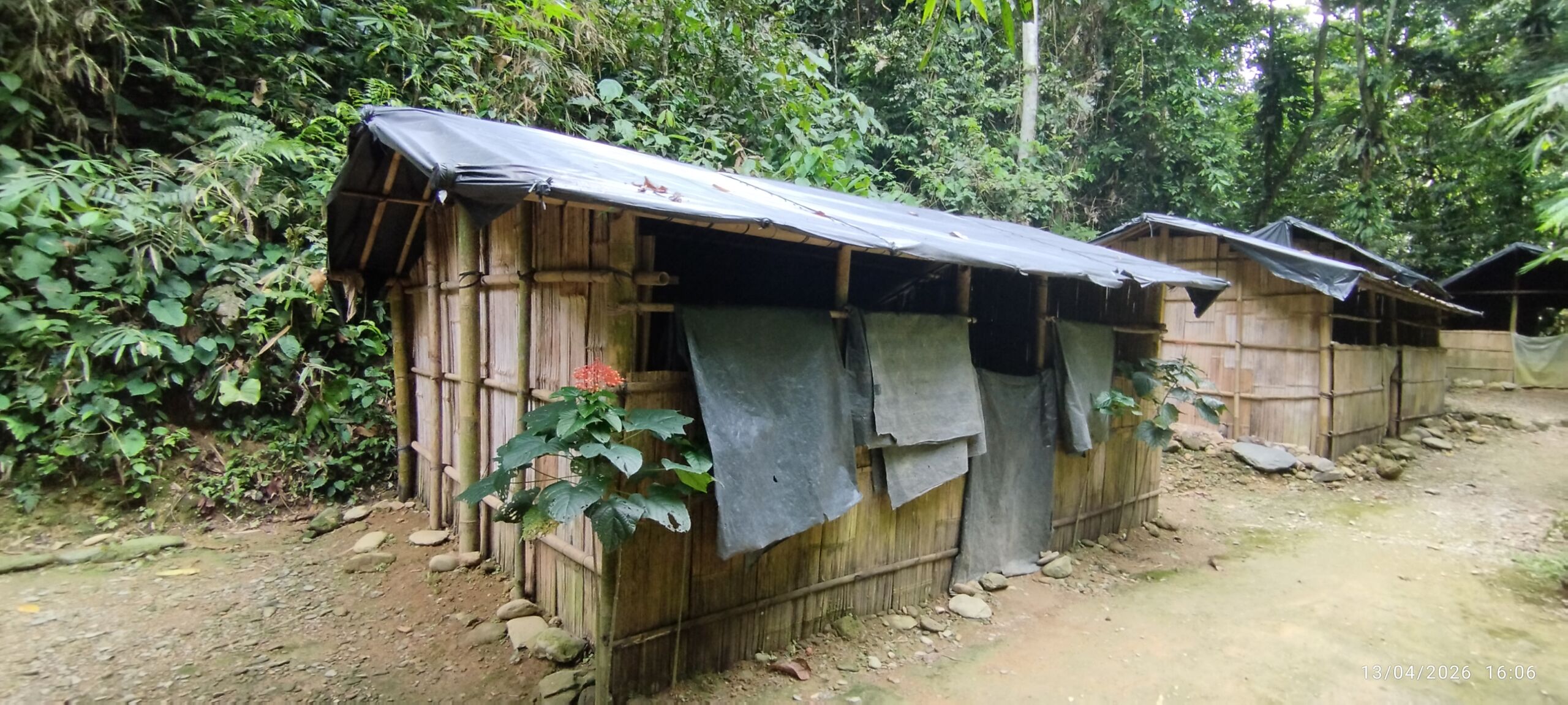 a jungle shelter located near the creek for the trekkers