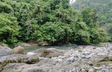 Green valley of sumatra jungle