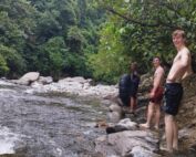 Sumatra tropical Rain Forest In Bukit Lawang