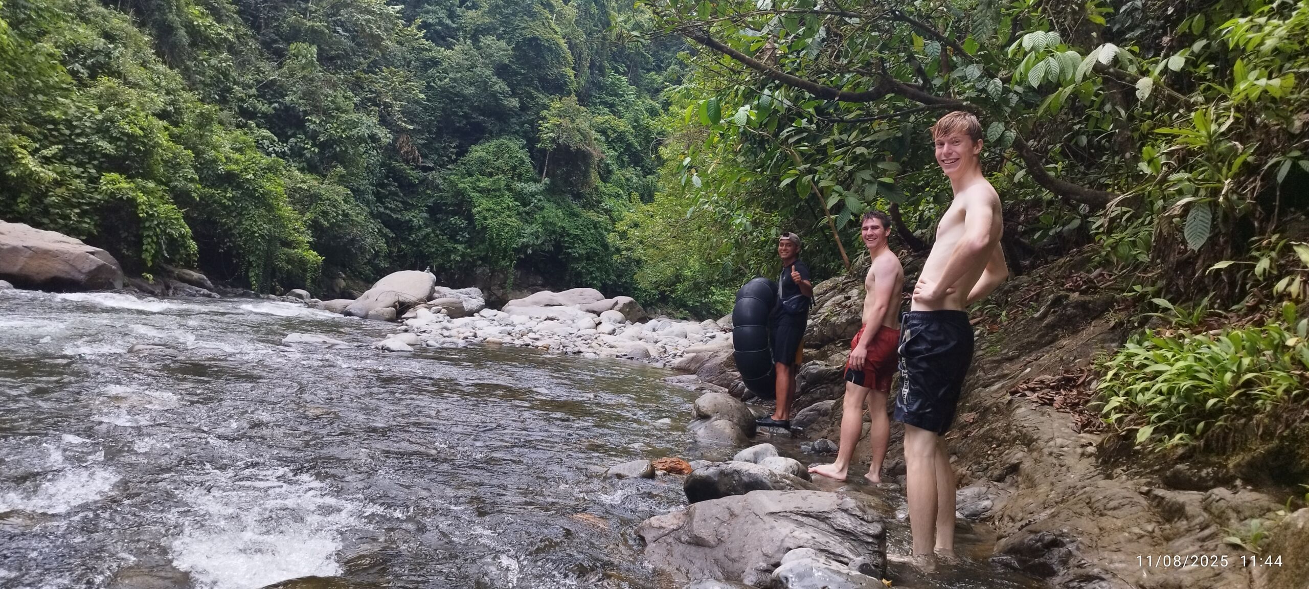 Sumatra tropical Rain Forest In Bukit Lawang