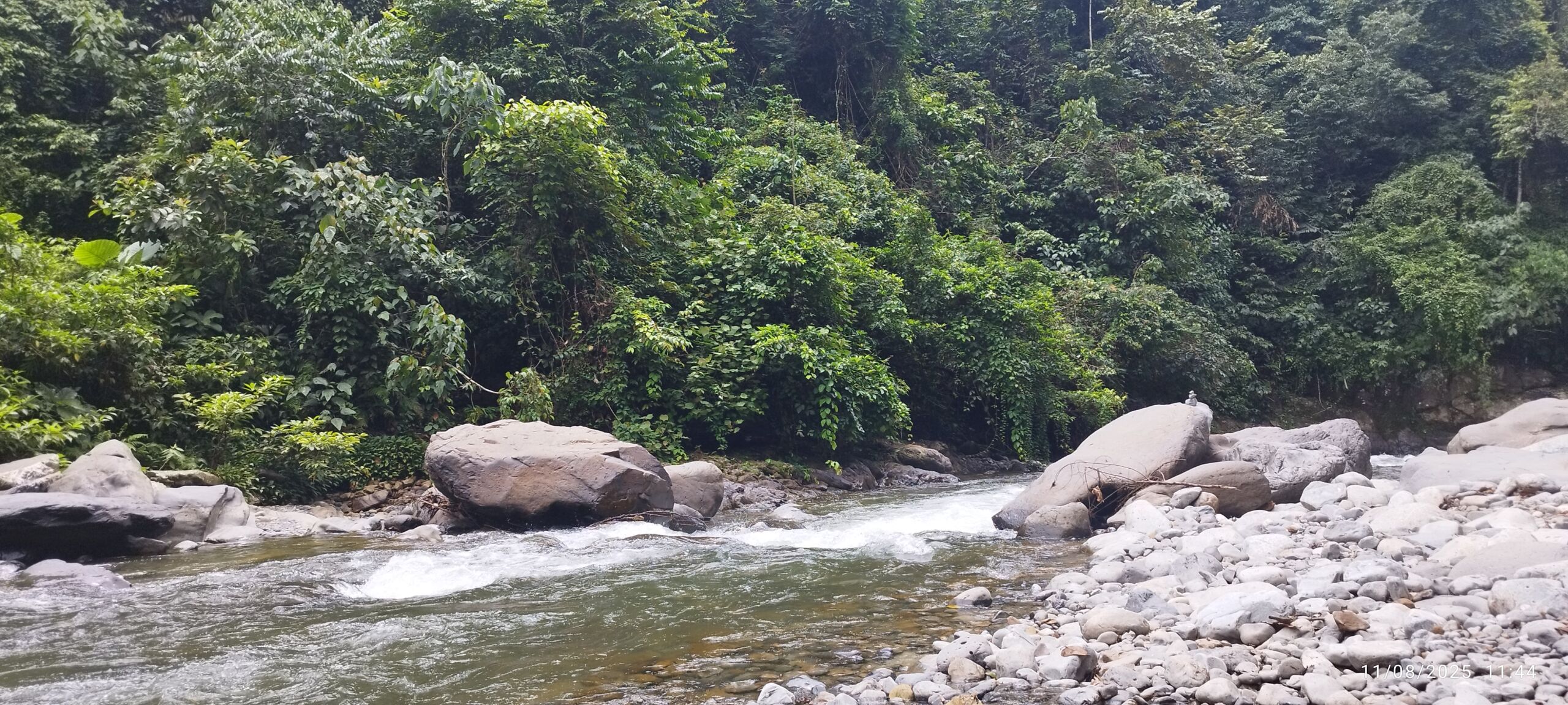 Sumatra Rain forest Bukit Lawang