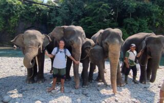 Sumatran Elephant at Tangkahan Sumatran Elephant Sanctuary