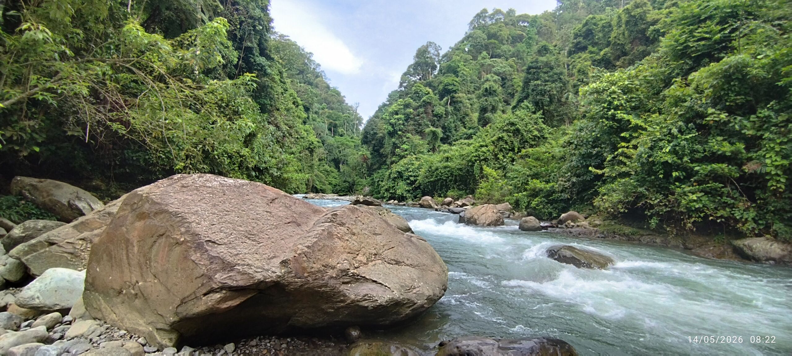A river running through the sumatra jungle A river running through the sumatra jungle