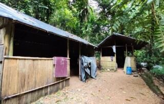Jungle Shelter in the sumatra rainforest Bukit Lawang