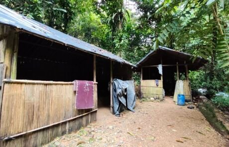 Jungle Shelter in the sumatra rainforest Bukit Lawang