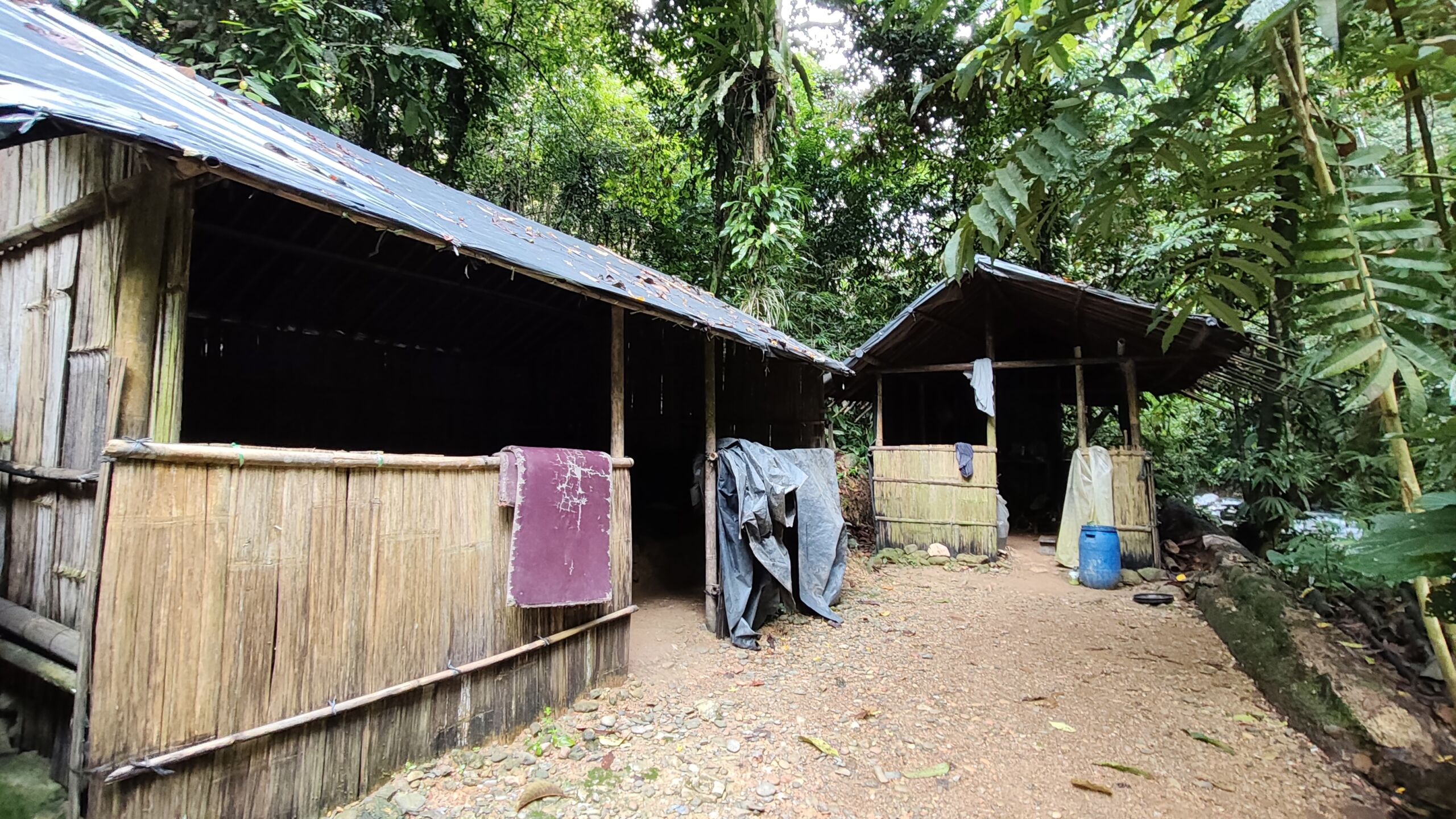 Jungle Shelter in the sumatra rainforest Bukit Lawang Jungle Shelter in the sumatra rainforest Bukit Lawang