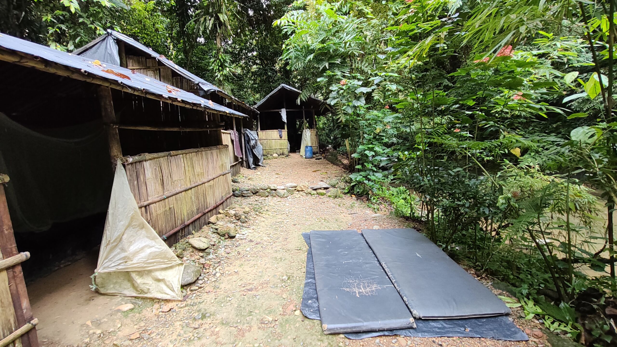Jungle Shelter in the sumatra rainforest Bukit Lawang Jungle Shelter in the sumatra rainforest Bukit Lawang