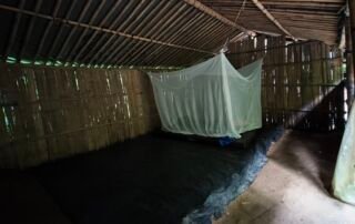 Jungle shelter with mosquito net inside the shelter