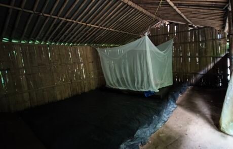 Jungle shelter with mosquito net inside the shelter