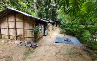 Jungle shelter for jungle trekking trip into sumatra national park