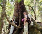 two german girl standing next to the big tree in the forest of sumatra bukit lawang
