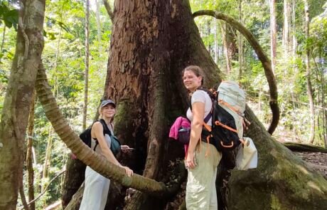 two german girl standing next to the big tree in the forest of sumatra bukit lawang
