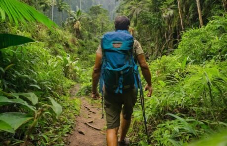 Atourist walking in the jungle