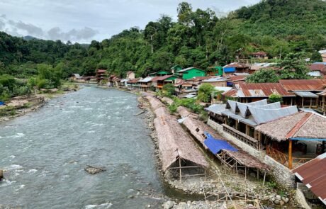 Bukit Lawang 223