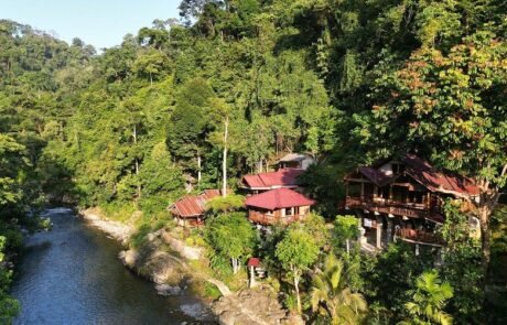 Kupu kupu garden bukit lawang