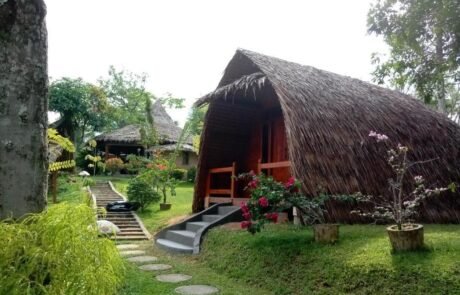 Orangutan bungalow Bukit Lawang