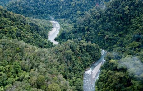 Sumatra jungle in bukit Lawang with the river