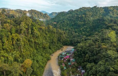View of bukit lawang and the river River tubing adventure in Bukit Lawang North Sumatra