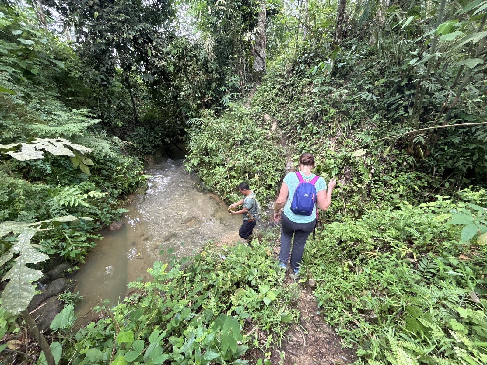 Walking doen hill in the sumatra jungle