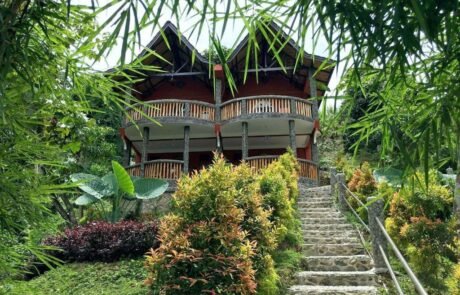 garden in bukit lawang