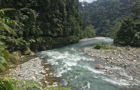 river and the jungle Guided jungle trekking in Gunung Leuser National Park