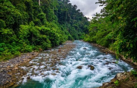 sumatra jungle and clean river